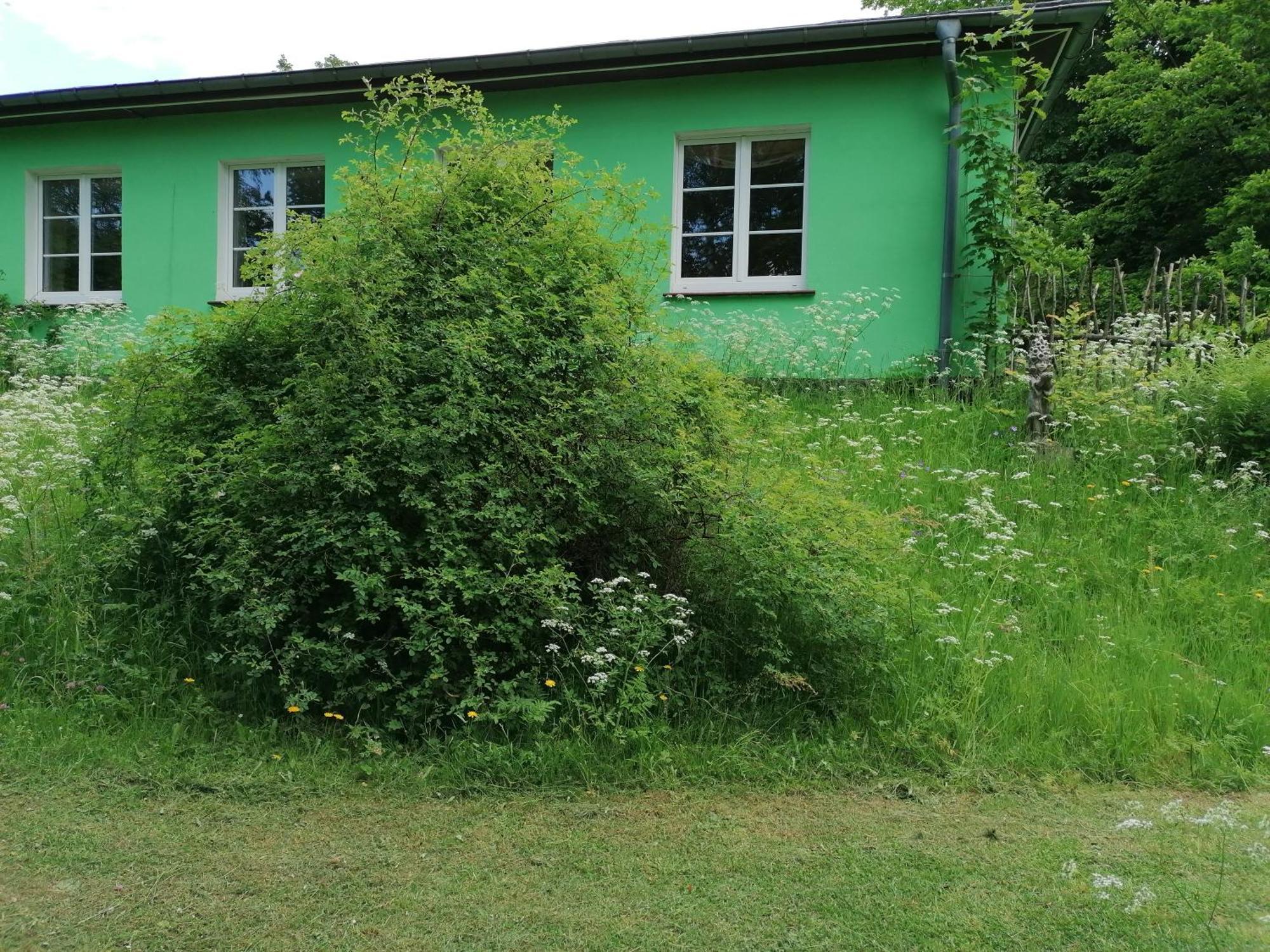 Hotel Kräuterbaude Saupsdorf Exterior foto